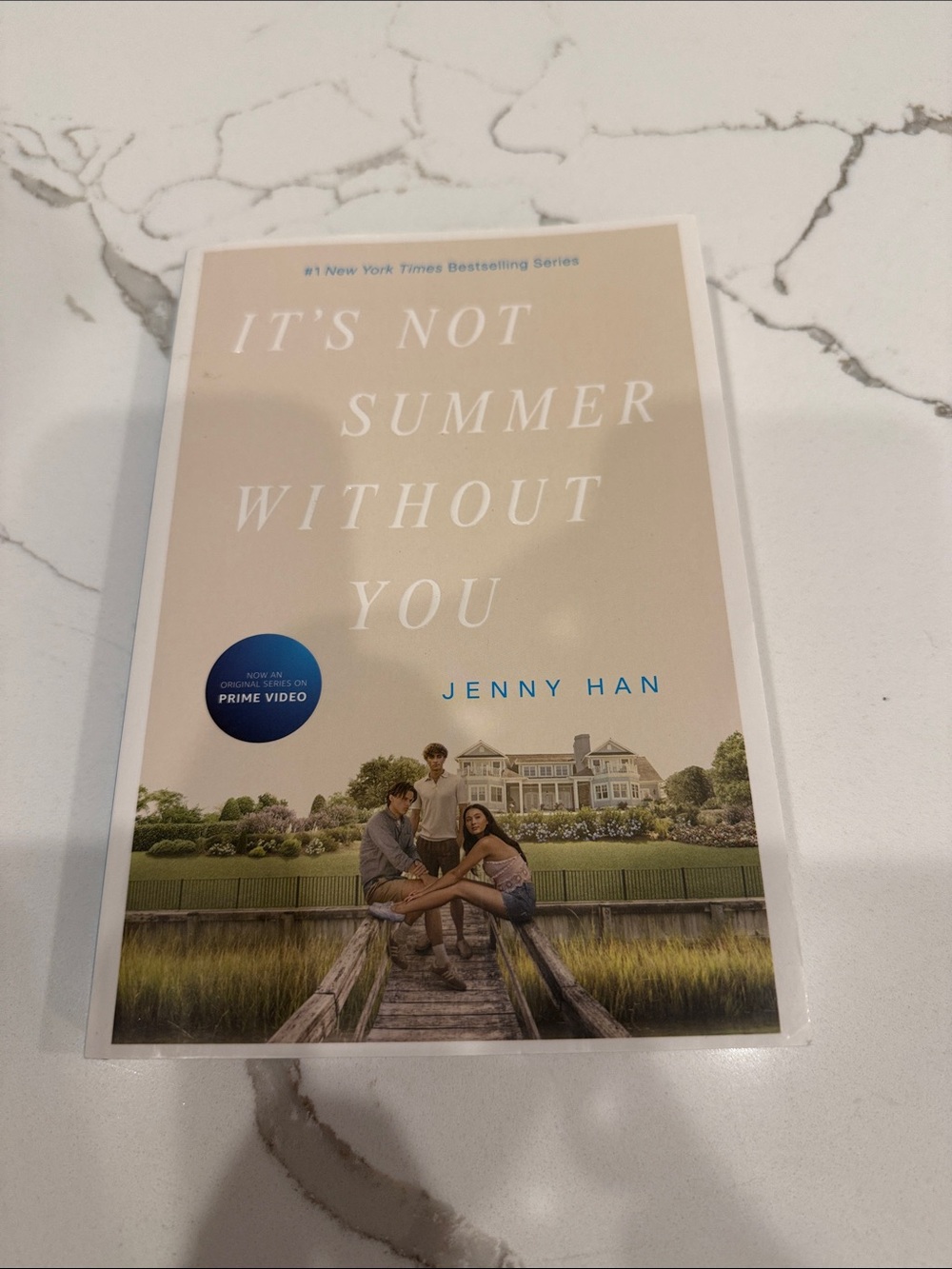 "It's Not Summer Without You"  Book